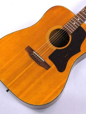 Harmony Spruce Series Acoustic Guitar